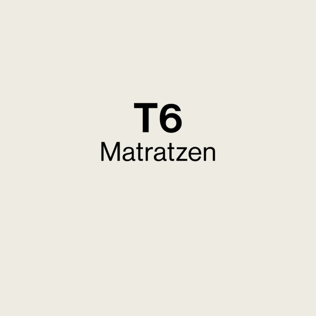 VW T6 / T6.1 Matratzen