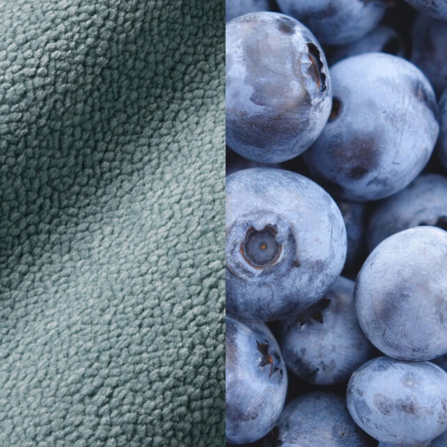 Das Bild ist vertikal geteilt: Die linke Hälfte zeigt blauen strukturierten Vliesstoff, die rechte Hälfte eine Nahaufnahme mehrerer frischer Blaubeeren. Beide Seiten sind in der Farbe ähnlich.