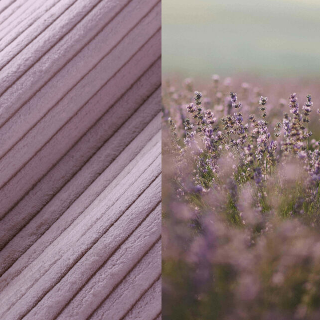 Nahaufnahme eines weichen, gerippten rosafarbenen Stoffes auf der linken Seite; blühende lavendelfarbene Blumen in einem nebligen Feld auf der rechten Seite, beide in ähnlichen Violett-Tönen gehalten.